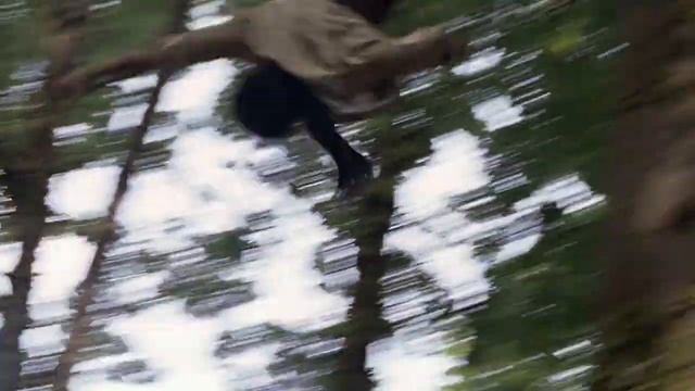 آدم خور انسان ویڈیو смотреть онлайн