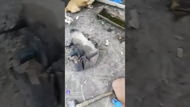 сенокос встал... сломало сенокоску