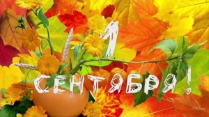 Сборник футажей на 1 сентября
