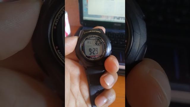 Casio Modelo 3233