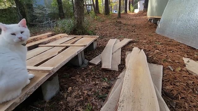 Сушка Досок с Лесопилки и Другие Новости смотреть онлайн