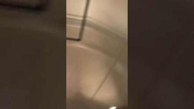 EPIC MOTOR! Thyssenkrupp Aurora Elevator At 375 Cedar Sage BLVD At Firewheel Town Center