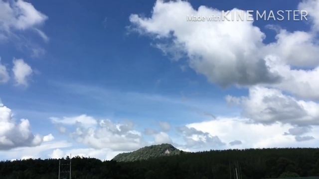 Full flight Boeing 787-9 Dreamliner смотреть онлайн