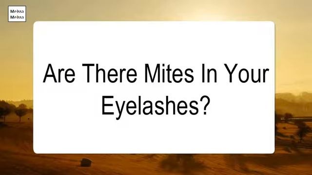 Are There Mites In Your Eyelashes смотреть онлайн