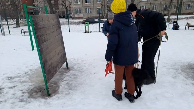 Марс Лаки & Чибо Жил Был Кинолог Моя Жизнь Кино Музей Псов смотреть онлайн