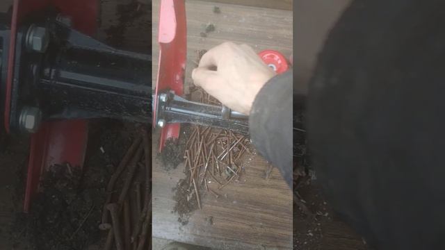 19 марта 2024 г.