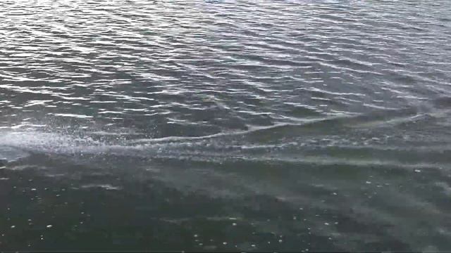 🤯 82 Km/h Atlantic Yacht 👍 Remote Control Heng Long 3837 Rc Boat 😳 HENGLONG Upgrade Brushless Motor