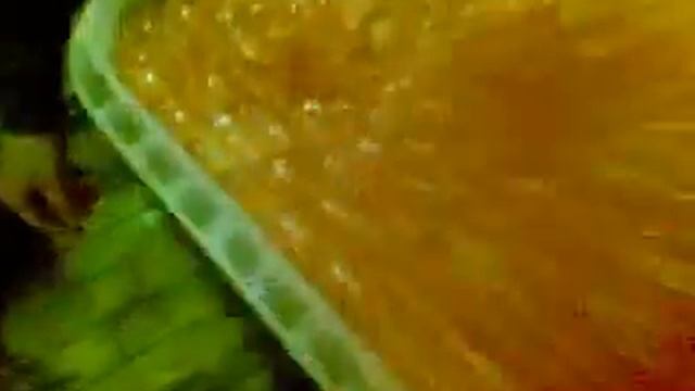 30042009.mp4 смотреть онлайн