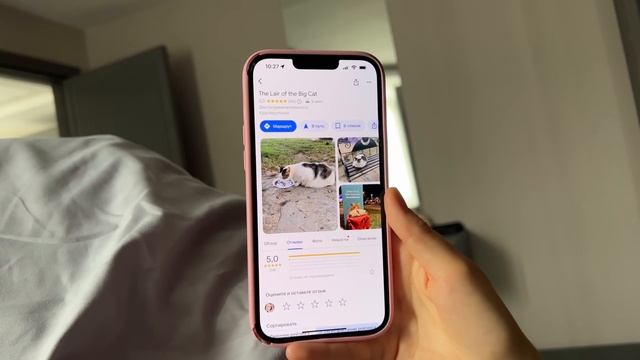 ИДЕМ С ТАНЕЙ ИСКАТЬ КОТА смотреть онлайн