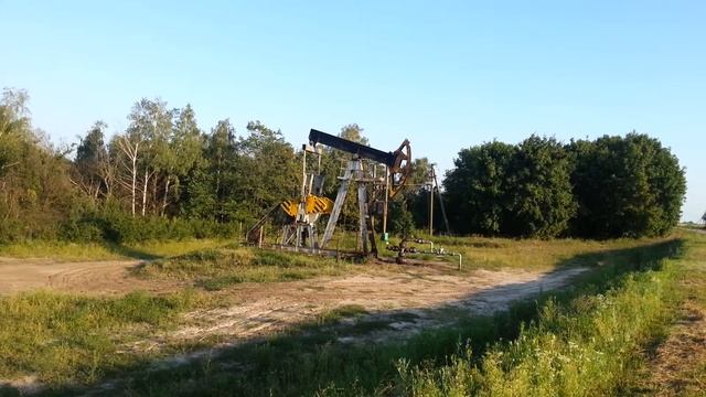 20120804_183937.mp4 смотреть онлайн