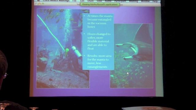 Husbandry of giant manta rays, Manta birostris, at Atlantis, Paradise Island, Bahamas Содержание гиг