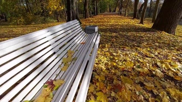ОСЕНЬ!!!Листвой шуршать!!! ЦПКиО Санкт-Петербург смотреть онлайн