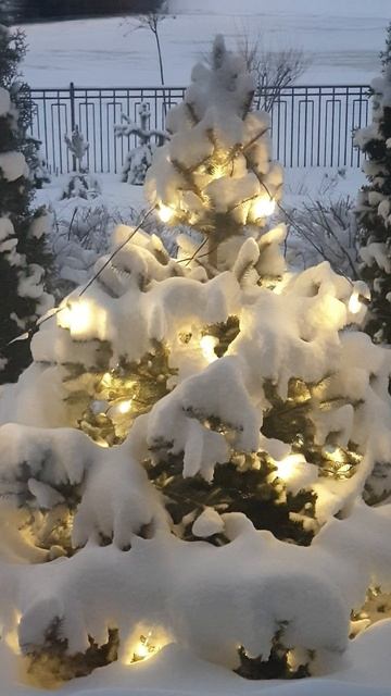 Новогоднее настроение