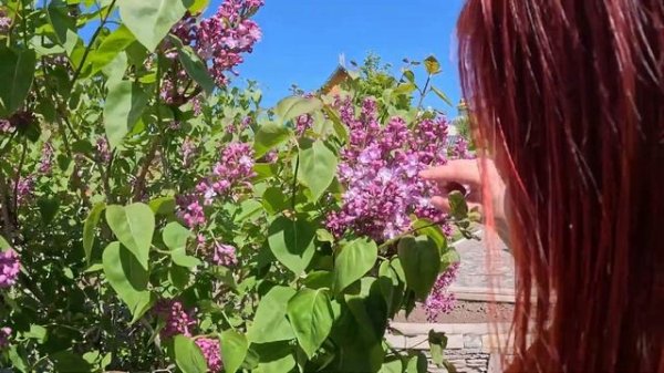 Казанский trip / куда пойти в Казани / весенняя прогулка по Казани / Полка Чудес