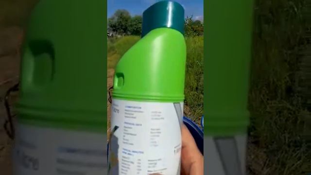 Thai Apple ber - Spray of Micro nutrients for flowering in the month of September смотреть онлайн