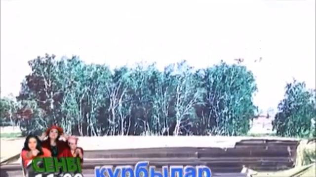 2016 Выставка "Виртуальные ландшафты" Дитера Зайта смотреть онлайн