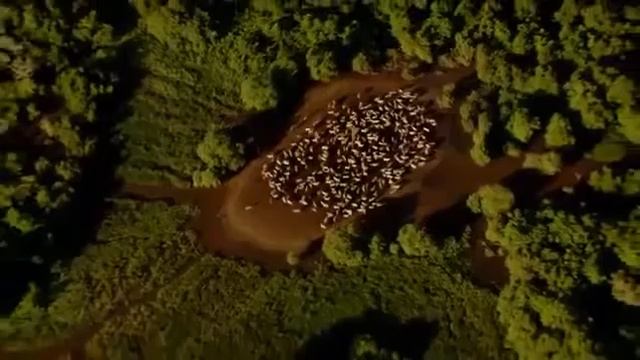 Home/სახლი/Дом (ქართულად)