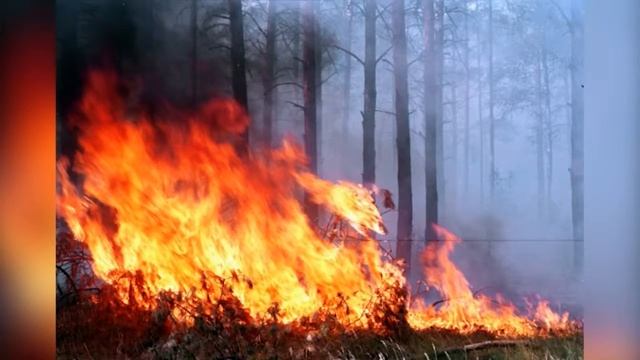 Информационная программа «День» от 28 июня 2016 г. Первый Мытищинский смотреть онлайн