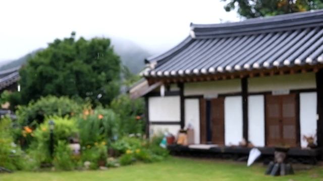 빼빼가족 한국여행 '춘양' | 차박여행 | 춘양여행 | Korea Travel 3, van life смотреть онлайн