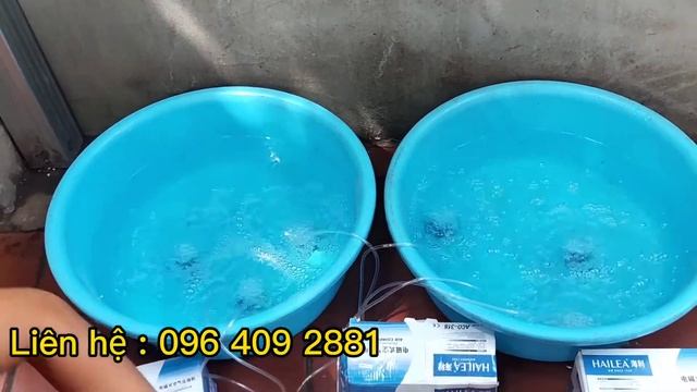 Máy Sủi Oxy Cho Cá | Máy Tạo Oxy Cho Cá Hàng Chất Lượng ,bao Ship Toàn Quốc