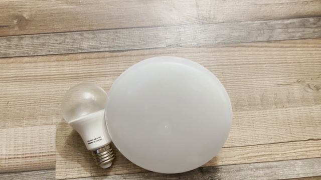 Как вырастить помидоры дома