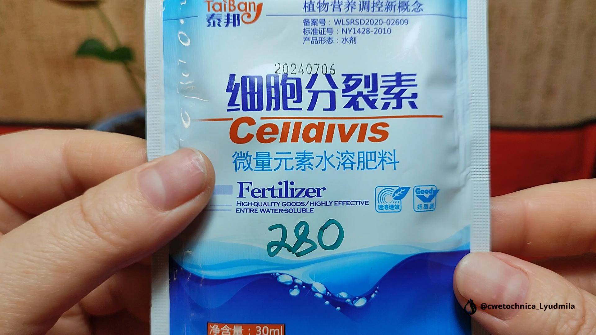 Эксперимент с Цитокинином🤔