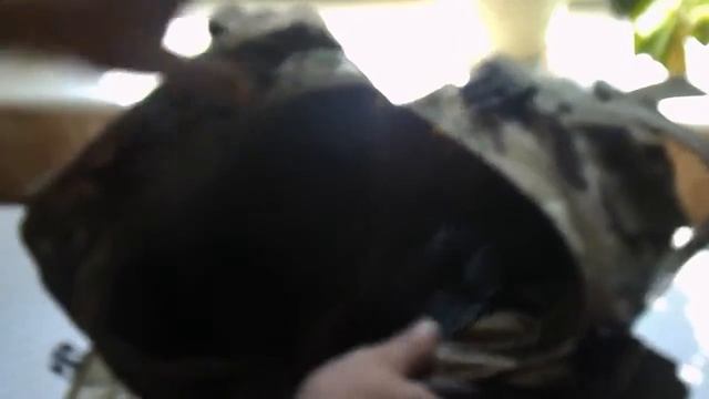 Гидратор AOTU на 3 литра смотреть онлайн