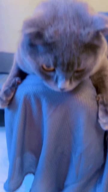 🔴РАСПАКОВКА ЧЕК🔴 смотреть онлайн