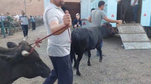 МОЛБОЗОРИ ИСТАРАВШАН !