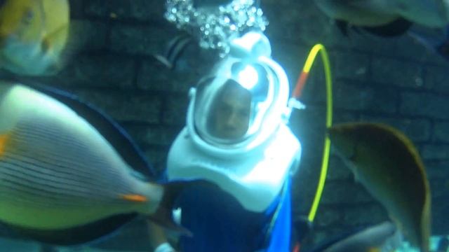 The Best Waterpark - AQUAVENTURE - DUBAI 2016 смотреть онлайн