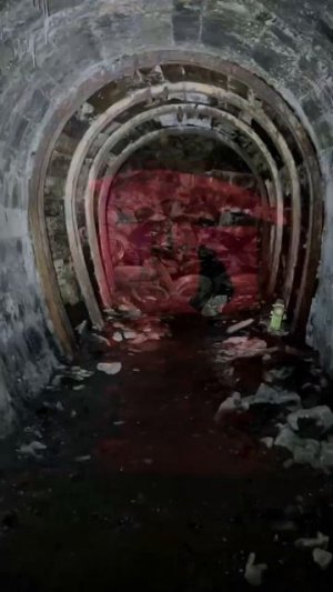 Wir GRABEN einen alten BUNKER aus dem 2.Weltkrieg aus😱