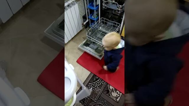 Разбираем посудомойку