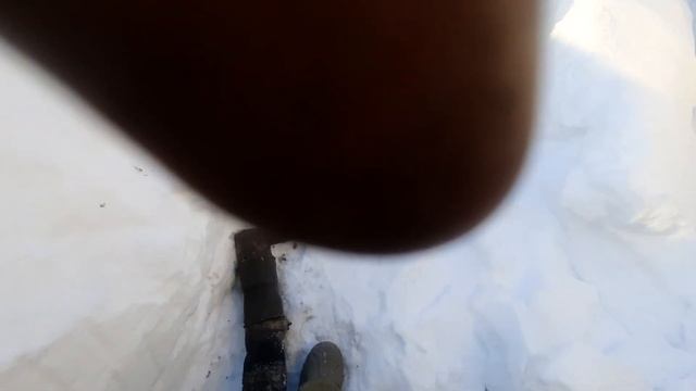 Асенизатор