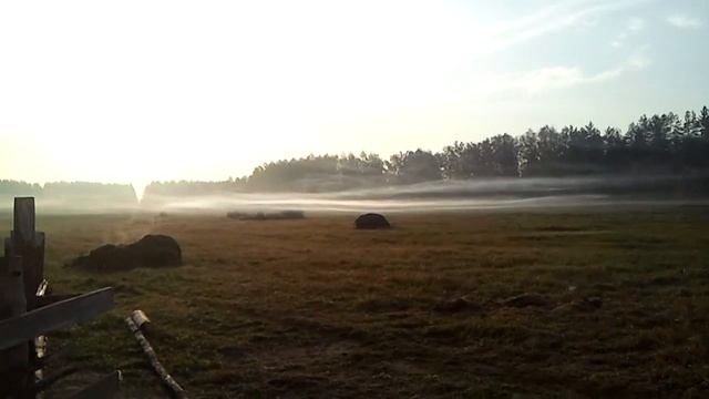 Работа на Ферме_Ещё одно красивое утро! смотреть онлайн