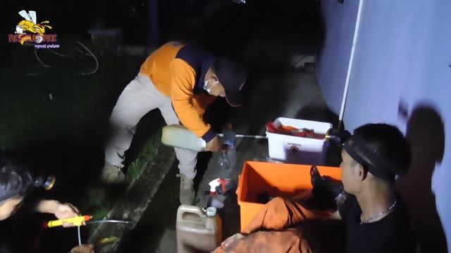 SERANGAN...TAWON VESPA AFFINIS DI LANDASAN UDARA JENDRAL BESAR SUDIRMAN PURBALINGGA смотреть онлайн