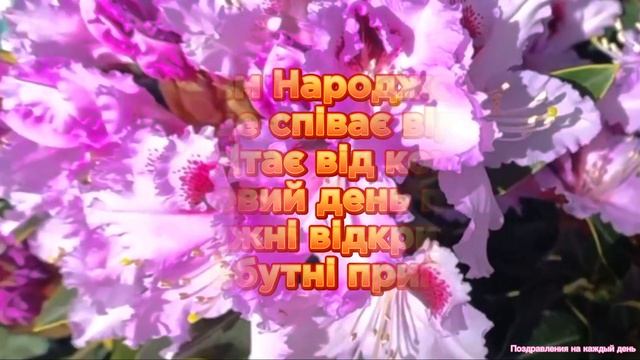 Гарне привітання з днем народження для жінки💐 Привітання українською мовою🇺🇦 смотреть онлайн