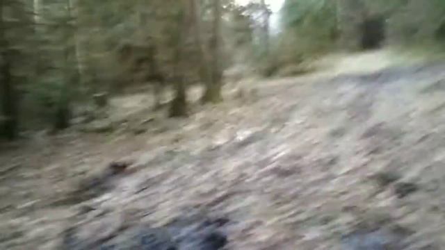Солонец 2 часть смотреть онлайн
