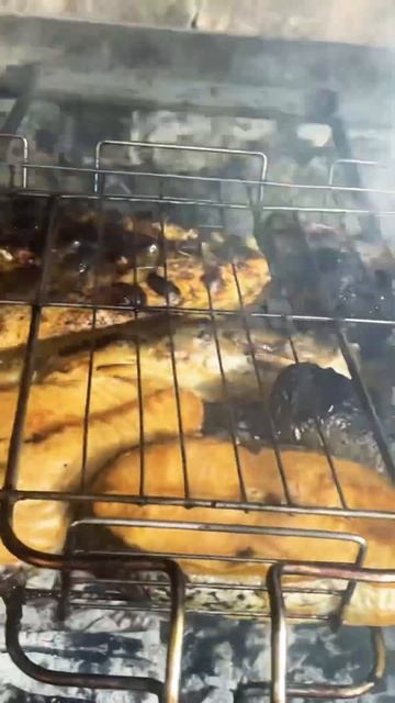 Рыбной сет!!￼ #сёмга #форель #скумбрия #горбуша #сибас #дорадо #мангал #ростовнадону #кайф #готовим смотреть онлайн