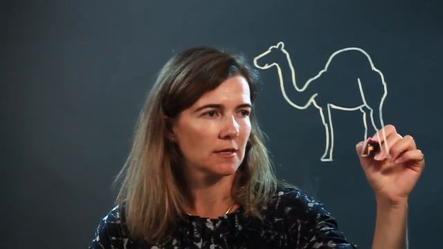 How to Draw a Camel смотреть онлайн
