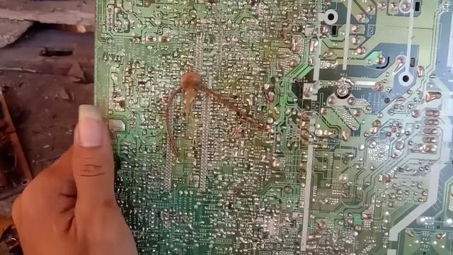 pin protek tv sharp || tv sharp protek star sebentar mati lagi смотреть онлайн