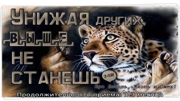 Стрикс® Отличник инструкция по применению БАДа