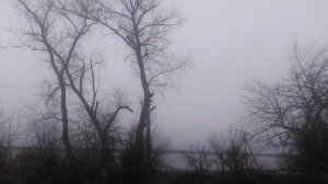 Зимний Пейзаж Пасмурно VID_20250203_082340