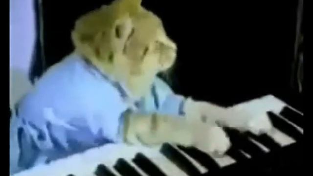 Кошачьи дискотеки.wmv смотреть онлайн