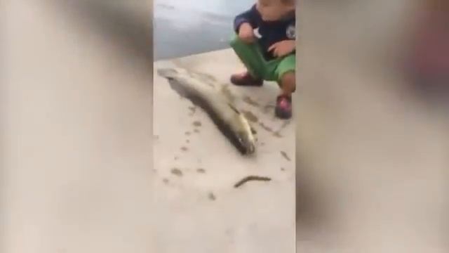 Отхватил леща смотреть онлайн