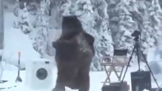 Мишка в спячке смотреть онлайн