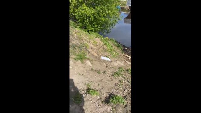 Нашествие крыс смотреть онлайн