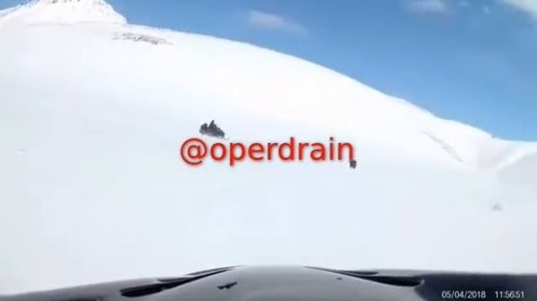 Нападение медведя