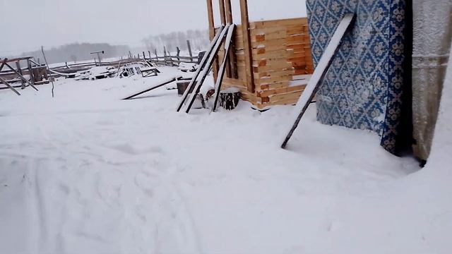 2.11.23.ч 1 смотреть онлайн