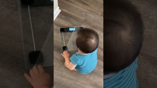 Scale himself 😂 nice try 🥰 #sangheon #baby #cute #funny #scale #honeyfamily смотреть онлайн