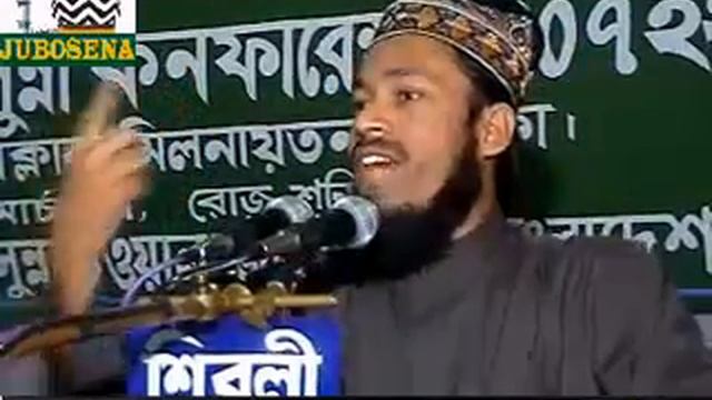 ALA HAZRAT CONFERENCE, DHAKA, BANGLADESH LEAD BY ROISUL ULAMA HAFEZ M.A.JALIL(R.A)-2007-PART-10 смотреть онлайн